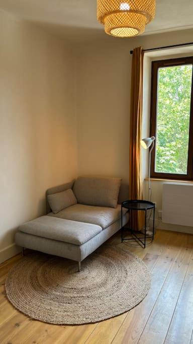 T2 Cocon Avec Balcon Et Parking Apartment La Roche-sur-Foron Exterior photo